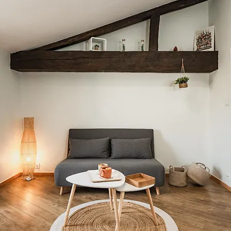 Lumineux & Calme En Centre Apartment *